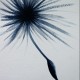 sagourot's Gravatar