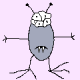 kim c Avatar
