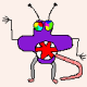 Shannon B Avatar