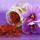 Hình đại diện người dùng