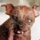 Joe Smith's avatar