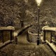 Avatarul lui Master English