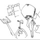 Avatar de Desconocido