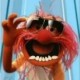 Paul's avatar