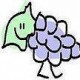 Steve's avatar