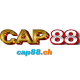 Cap88's avatar