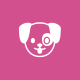 Avatar de best place to buy tiktok followers