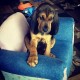 shirley's avatar