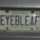 eyebleaf's avatar