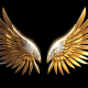 Flying eagle's avatar