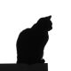stommie's avatar