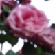 Unknown's avatar