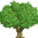 stilloaks's avatar
