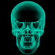 dude's avatar