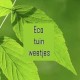 ecotuinweetjes's avatar