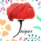 OurJaipur.Com's avatar