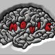 GrayMatterMovies
