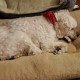 Gail R Opitz's avatar
