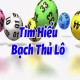 Hình đại diện người dùng