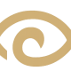 Rolled Sleeves Foundation's avatar