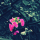 wanderingformoney's avatar