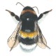 Jennifer McLean's avatar