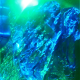 Unknown's avatar