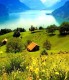 Avatar de Snog Travel