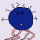 avatar septi