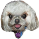 Terry Wilson's avatar
