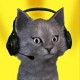 Matt Warren's avatar