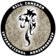 Bill Cameron International Horsemanship's avatar