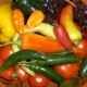 Cooking in Mexico's avatar