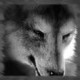 Jeromai's avatar