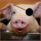 Wieprzek's avatar