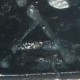 Blavatar