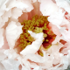 knitorious's avatar