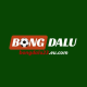 Hình đại diện người dùng