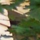 Unknown's avatar