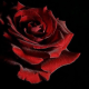 Avatar de Juliette Turrell