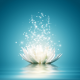 Wisdomia Institute Avatar