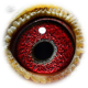 rechtdoorzeeinmiddelkerke's avatar