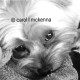 artmusedog and Carol's avatar