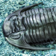 Costan Grigorij's avatar