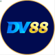 DV88's avatar