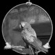 jjsefton's avatar