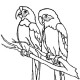أفاتار غير معروف