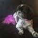 Mabel Weinfurter's avatar