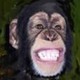 bee and jai Avatar