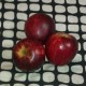 Asma Faisal's avatar